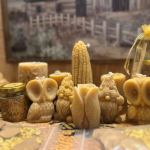 Bee-Inspired Holistic Products